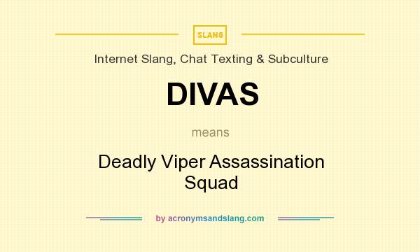 What does DIVAS mean? It stands for Deadly Viper Assassination Squad