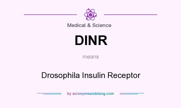 What does DINR mean? It stands for Drosophila Insulin Receptor