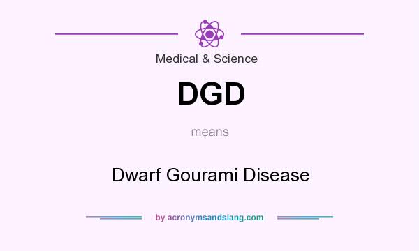 What does DGD mean? It stands for Dwarf Gourami Disease