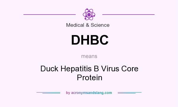 What does DHBC mean? It stands for Duck Hepatitis B Virus Core Protein