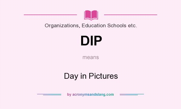 What does DIP mean? It stands for Day in Pictures