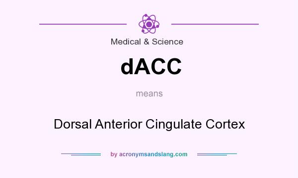 What does dACC mean? It stands for Dorsal Anterior Cingulate Cortex
