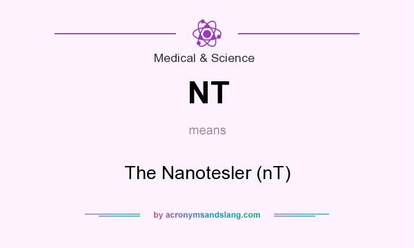 What does NT mean? It stands for The Nanotesler (nT)
