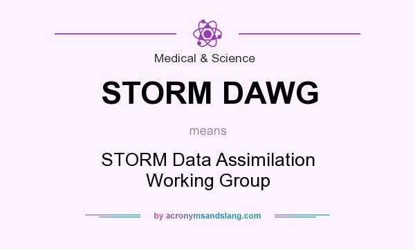 What does STORM DAWG mean? It stands for STORM Data Assimilation Working Group