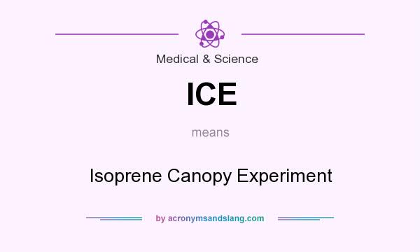 What does ICE mean? It stands for Isoprene Canopy Experiment