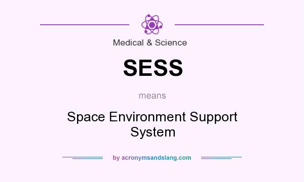 What does SESS mean? It stands for Space Environment Support System