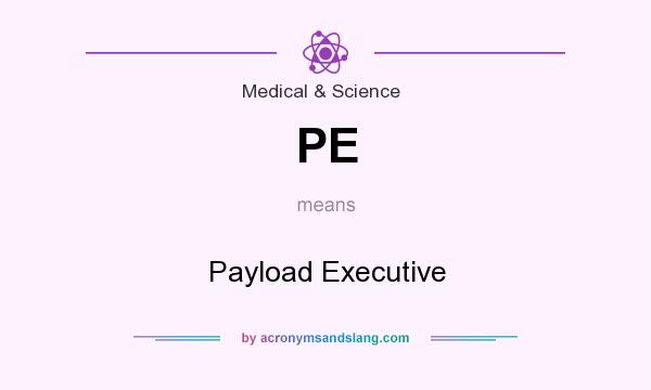 What does PE mean? It stands for Payload Executive