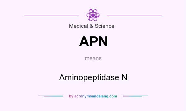 What does APN mean? It stands for Aminopeptidase N