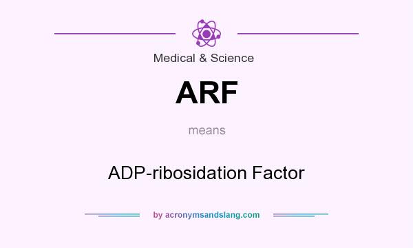 What does ARF mean? It stands for ADP-ribosidation Factor