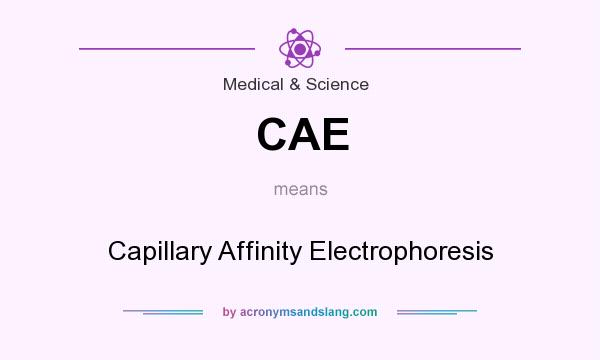 What does CAE mean? It stands for Capillary Affinity Electrophoresis