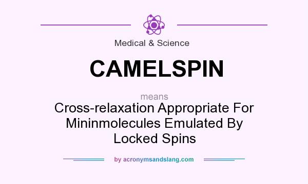What does CAMELSPIN mean? It stands for Cross-relaxation Appropriate For Mininmolecules Emulated By Locked Spins