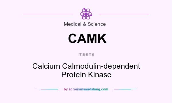 What does CAMK mean? It stands for Calcium Calmodulin-dependent Protein Kinase