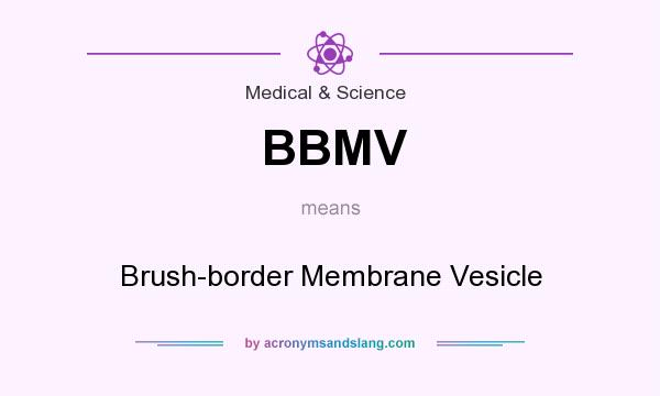 What does BBMV mean? It stands for Brush-border Membrane Vesicle