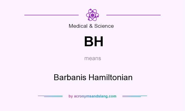 What does BH mean? It stands for Barbanis Hamiltonian