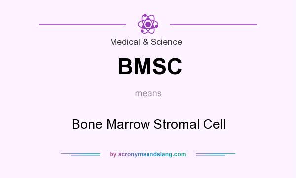 What does BMSC mean? It stands for Bone Marrow Stromal Cell