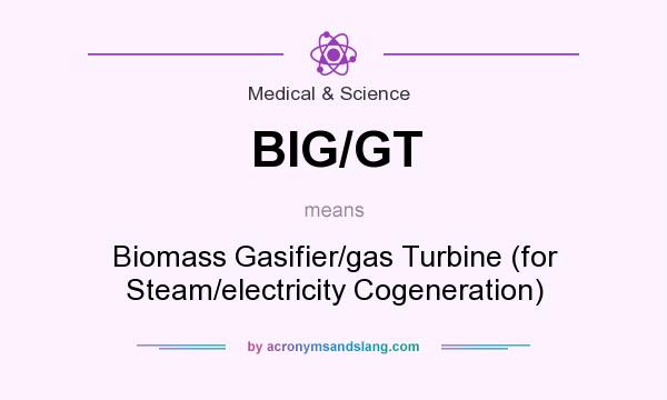 What does BIG/GT mean? It stands for Biomass Gasifier/gas Turbine (for Steam/electricity Cogeneration)