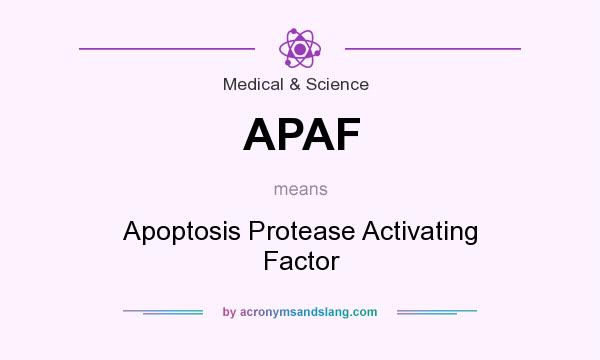 What does APAF mean? It stands for Apoptosis Protease Activating Factor