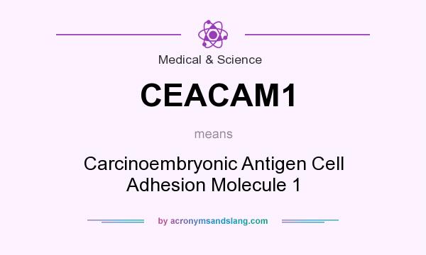 What does CEACAM1 mean? It stands for Carcinoembryonic Antigen Cell Adhesion Molecule 1