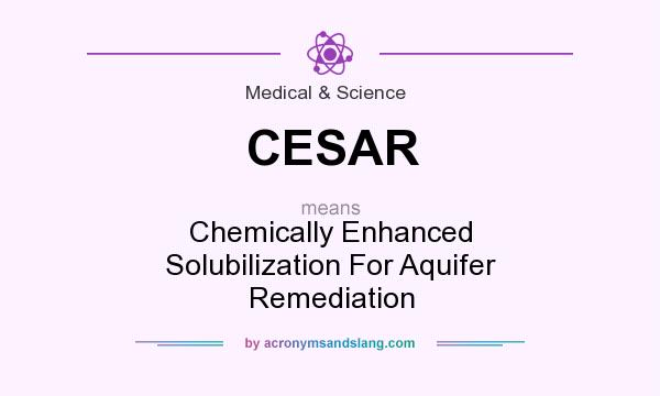 What does CESAR mean? It stands for Chemically Enhanced Solubilization For Aquifer Remediation