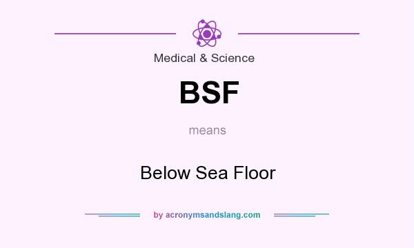 What does BSF mean? It stands for Below Sea Floor