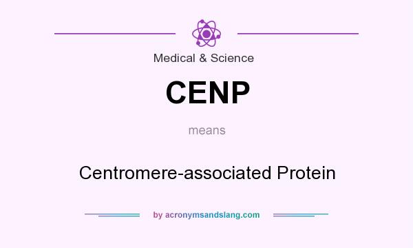 What does CENP mean? It stands for Centromere-associated Protein