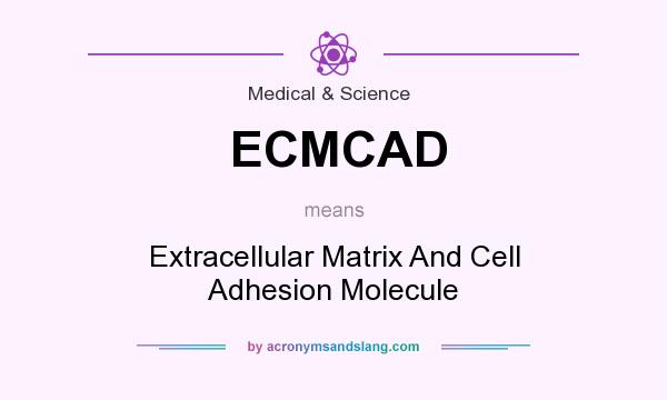 What does ECMCAD mean? It stands for Extracellular Matrix And Cell Adhesion Molecule