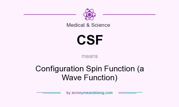 What does CSF mean? It stands for Configuration Spin Function (a Wave Function)
