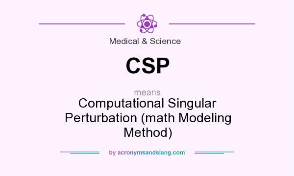 What does CSP mean? It stands for Computational Singular Perturbation (math Modeling Method)