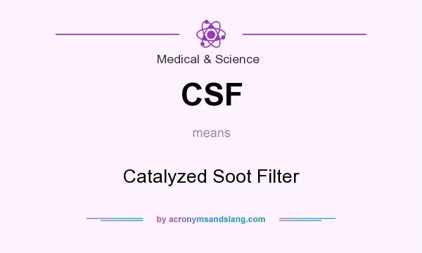 What does CSF mean? It stands for Catalyzed Soot Filter