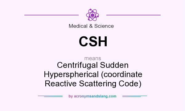 What does CSH mean? It stands for Centrifugal Sudden Hyperspherical (coordinate Reactive Scattering Code)