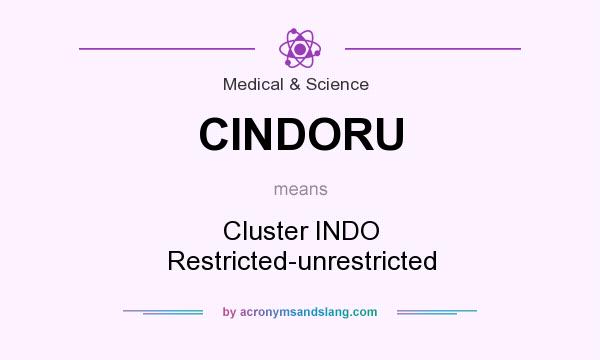 What does CINDORU mean? It stands for Cluster INDO Restricted-unrestricted