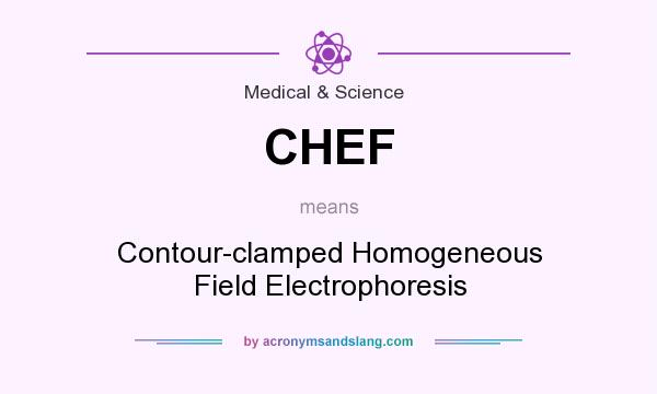 What does CHEF mean? It stands for Contour-clamped Homogeneous Field Electrophoresis
