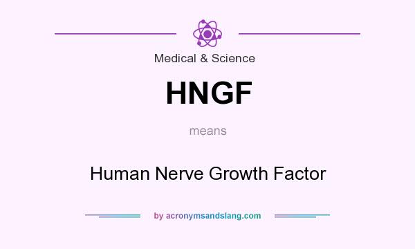 What does HNGF mean? It stands for Human Nerve Growth Factor