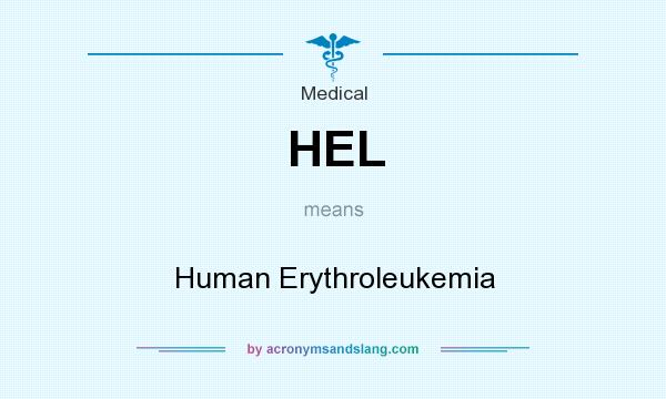 What does HEL mean? It stands for Human Erythroleukemia