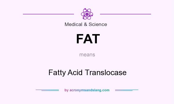 What does FAT mean? It stands for Fatty Acid Translocase