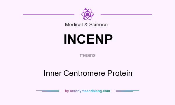 What does INCENP mean? It stands for Inner Centromere Protein