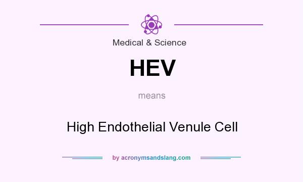 What does HEV mean? It stands for High Endothelial Venule Cell