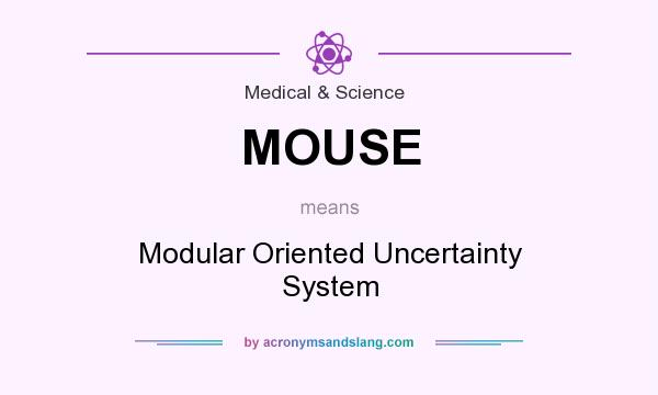 What does MOUSE mean? It stands for Modular Oriented Uncertainty System