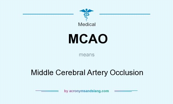 What does MCAO mean? It stands for Middle Cerebral Artery Occlusion