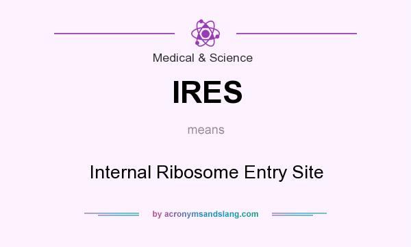 What does IRES mean? It stands for Internal Ribosome Entry Site