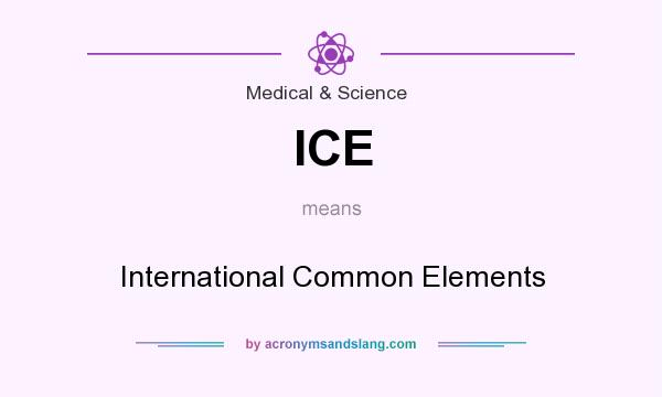 What does ICE mean? It stands for International Common Elements