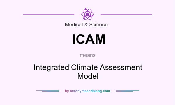 What does ICAM mean? It stands for Integrated Climate Assessment Model