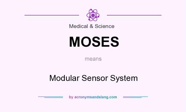 What does MOSES mean? It stands for Modular Sensor System