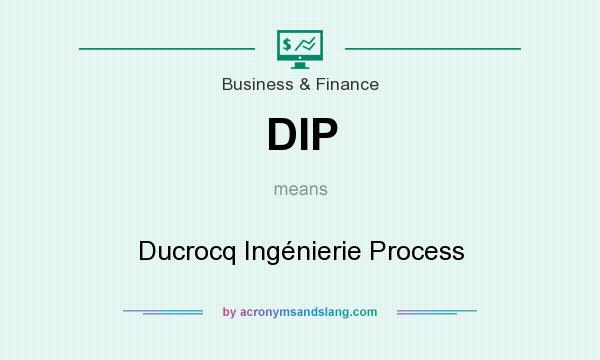 What does DIP mean? It stands for Ducrocq Ingénierie Process