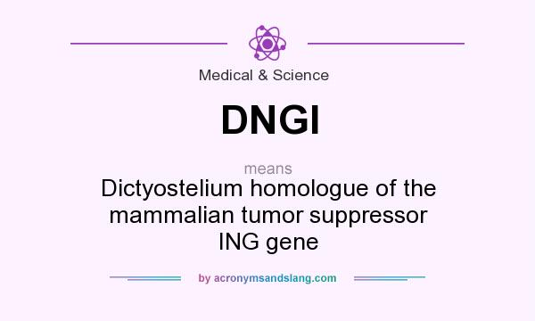 What does DNGI mean? It stands for Dictyostelium homologue of the mammalian tumor suppressor ING gene