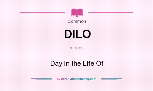 What does DILO mean? It stands for Day In the Life Of