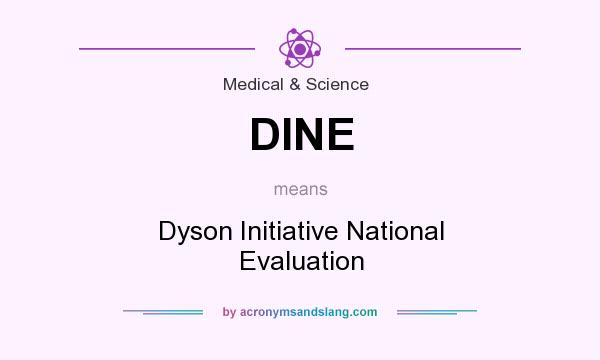 What does DINE mean? It stands for Dyson Initiative National Evaluation