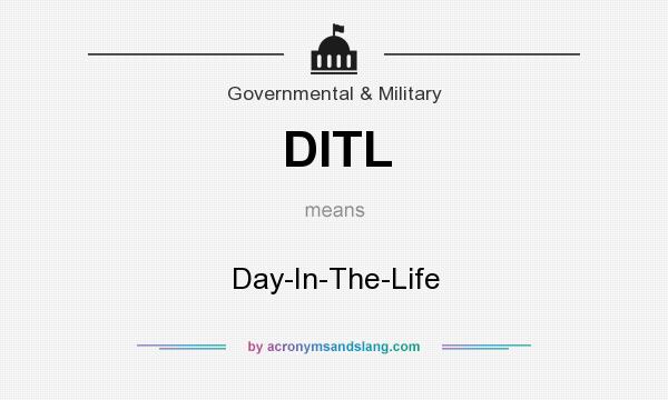 What does DITL mean? It stands for Day-In-The-Life
