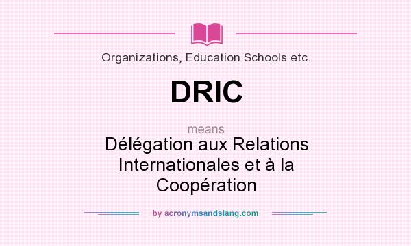 What does DRIC mean? It stands for Délégation aux Relations Internationales et à la Coopération