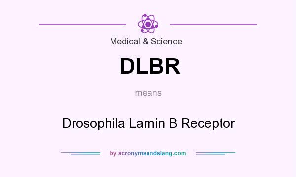What does DLBR mean? It stands for Drosophila Lamin B Receptor